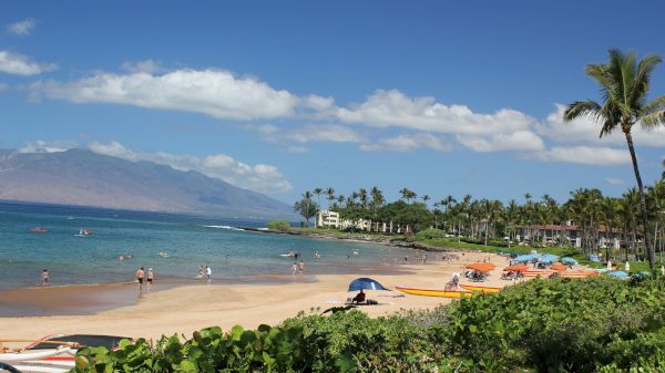 A scenic beach with people sunbathing and swimming, lush greenery, palm trees, and mountains in the background can be seen under a clear sky.