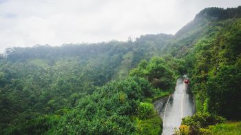 A winding road cuts through a lush, green forested hillside with a red car driving along it under a cloudy sky, creating a serene scene.