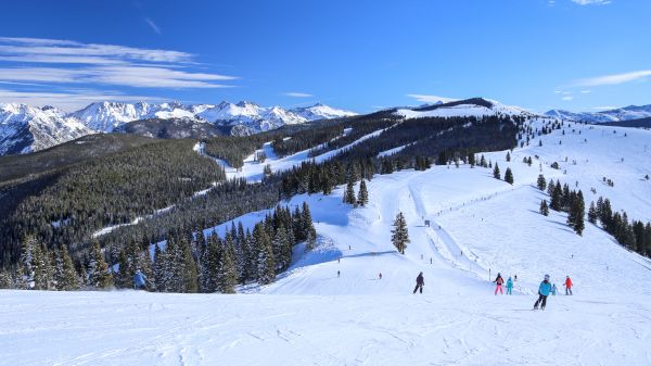 People are skiing on a snowy mountain slope with pine trees, under a clear blue sky and surrounded by vast, snow-covered mountain ranges.