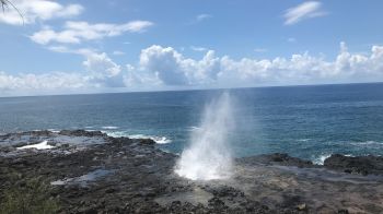 A coastal scene showing a rocky shore, the ocean, and a blowhole releasing a spray of water into the air under a partly cloudy sky.