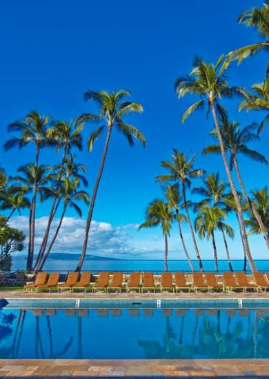 The image shows a serene poolside scene with palm trees, lounge chairs, and a view of the ocean against a clear blue sky.