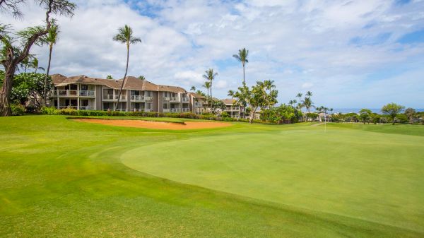 The image shows a lush green golf course with palm trees and several buildings in the background under a partly cloudy sky.