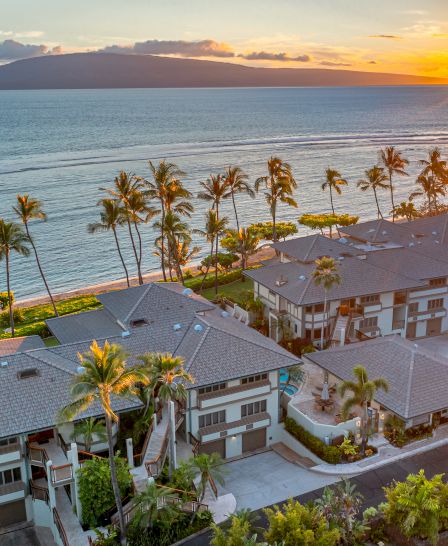 The image shows beachfront homes surrounded by palm trees during sunset, with the ocean and mountains in the background.