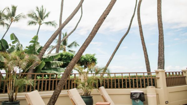 The image shows a poolside area with several lounge chairs, tall palm trees, and clear skies in the background.