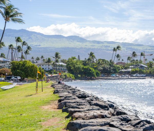 A coastal scene with palm trees, rocky shore, and buildings in the background under a sunny, blue sky with mountains and clouds.