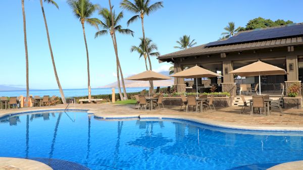 A serene tropical resort scene with palm trees, a clear blue swimming pool, and an outdoor seating area with umbrellas near the ocean.