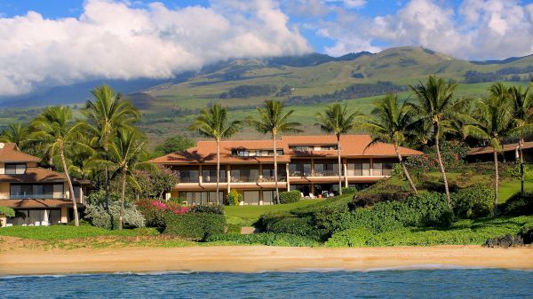 A scenic view of beachfront houses surrounded by lush greenery, palm trees, and mountains, with the ocean in the foreground under a clear blue sky.