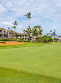 The image shows a scenic view of a well-maintained golf course with a putting green, surrounded by palm trees and residential buildings in the background.